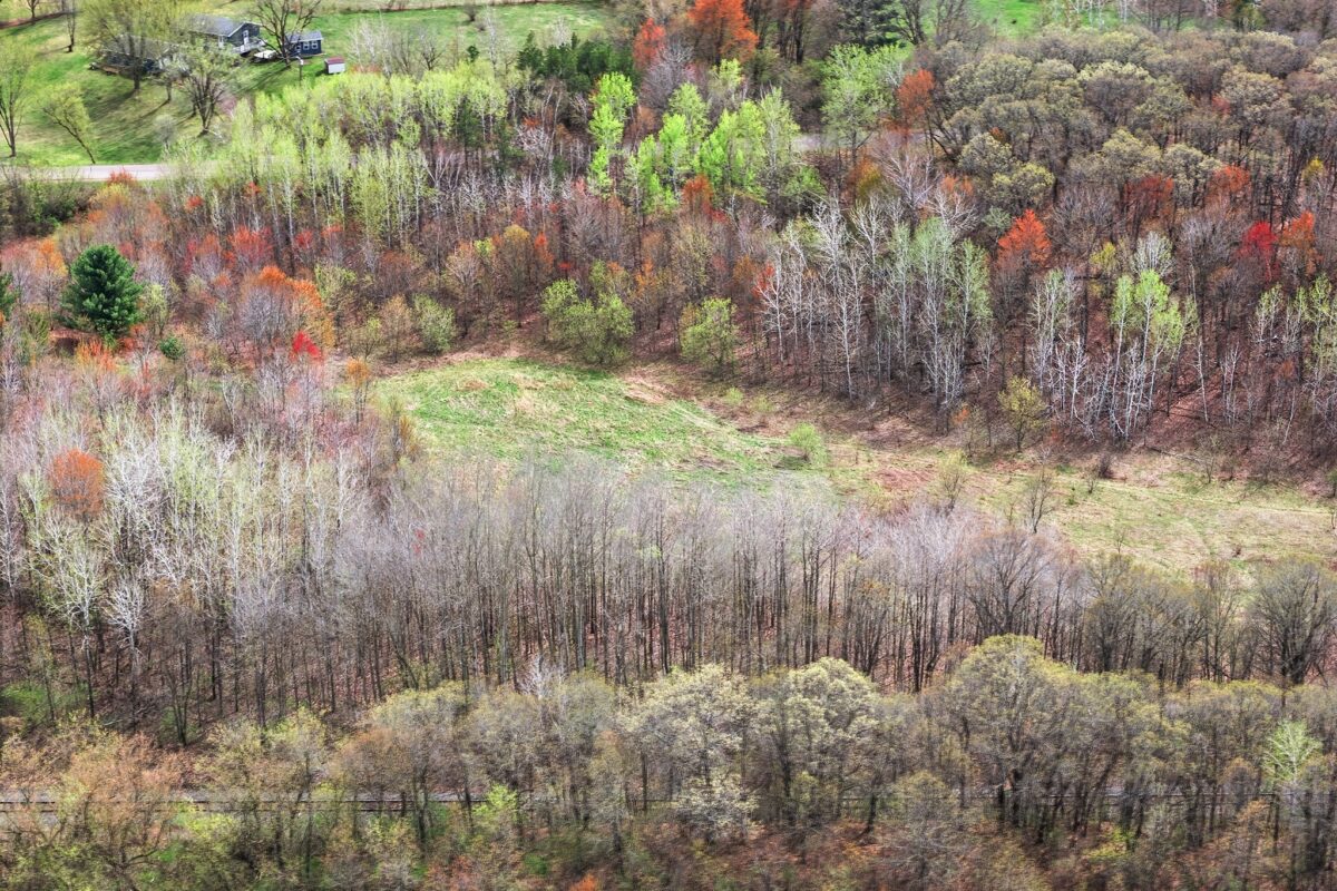 31.69 Acres 80th Avenue, Colfax, WI — photo 10