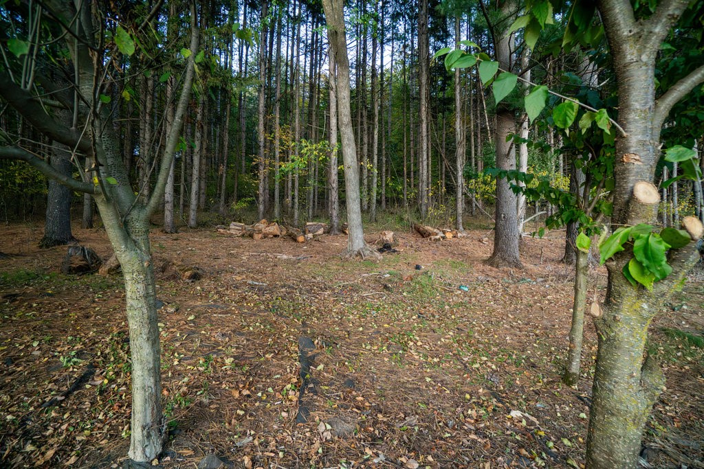 Residential at 328 Nordveien Drive, Boyceville, WI 54725 — photo 44