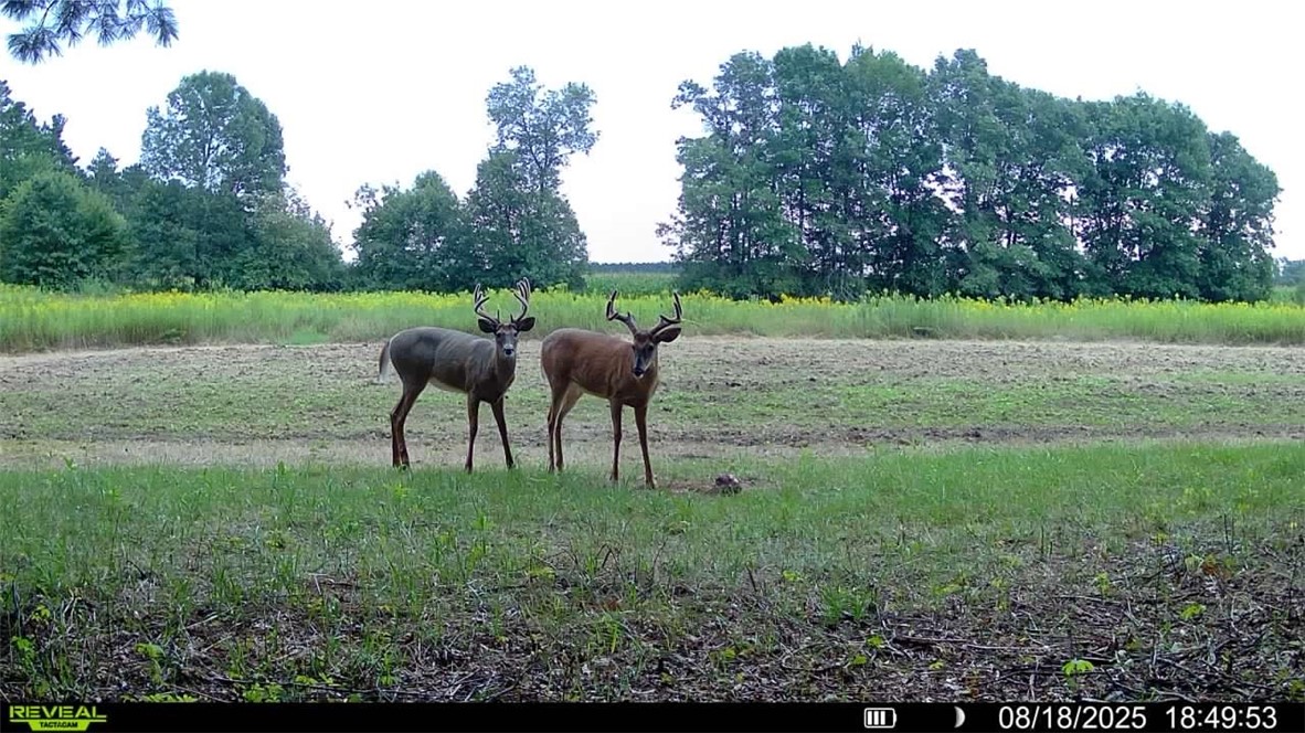 Residential at 3675 County Rd K, Fall Creek, WI 54742 — photo 23