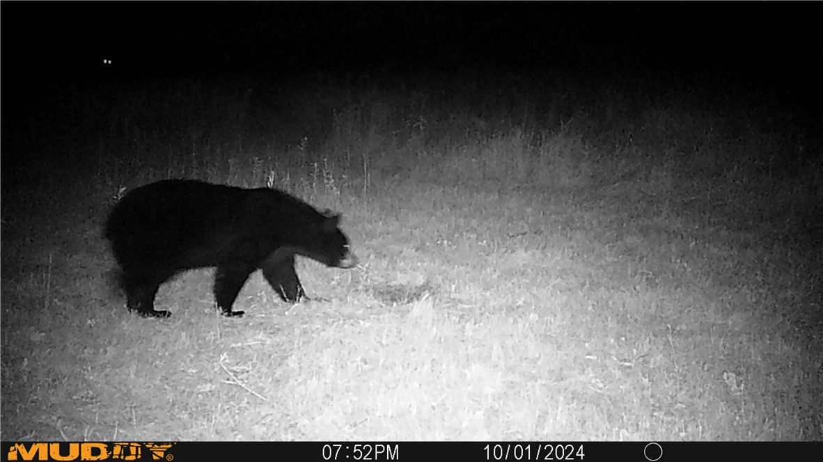 Residential at 3675 County Rd K, Fall Creek, WI 54742 — photo 25