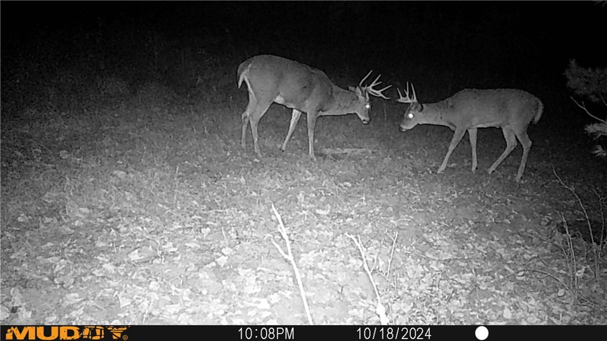 Residential at 3675 County Rd K, Fall Creek, WI 54742 — photo 27