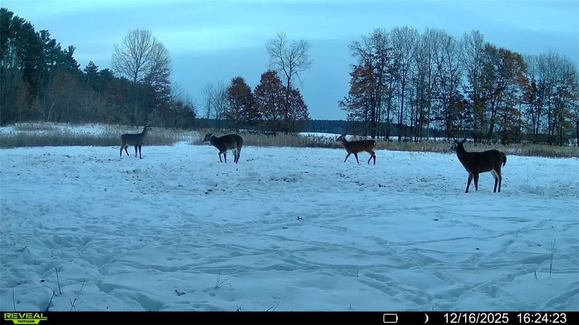 Residential at 3675 County Rd K, Fall Creek, WI 54742 — photo 28