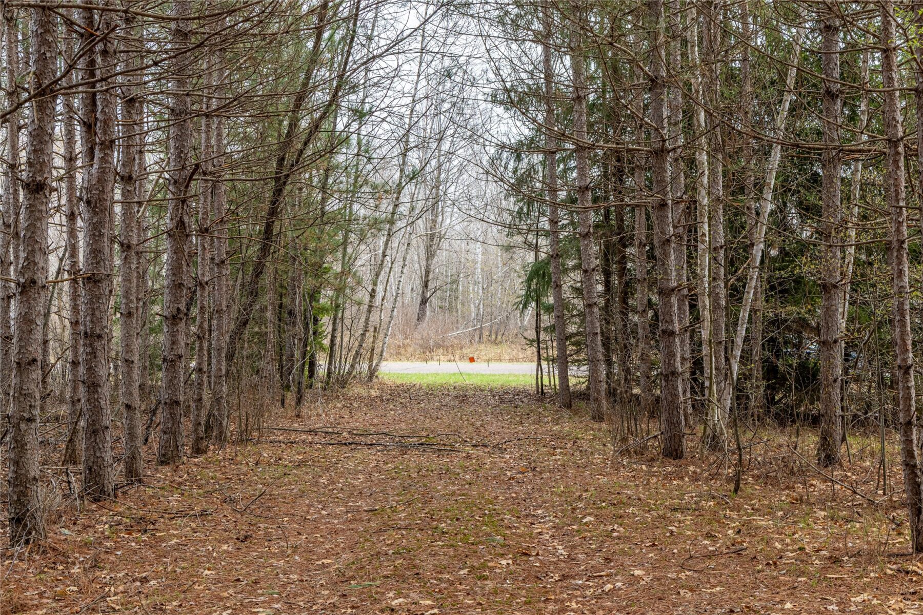 Land at 40 Acres Adams & Jones Road, Bruce, WI 54819 — photo 19