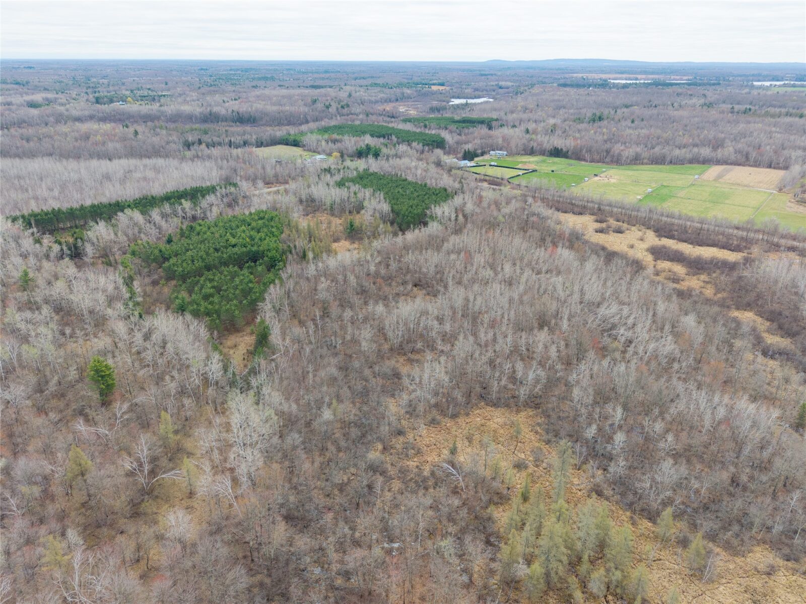 Land at 40 Acres Adams & Jones Road, Bruce, WI 54819 — photo 3