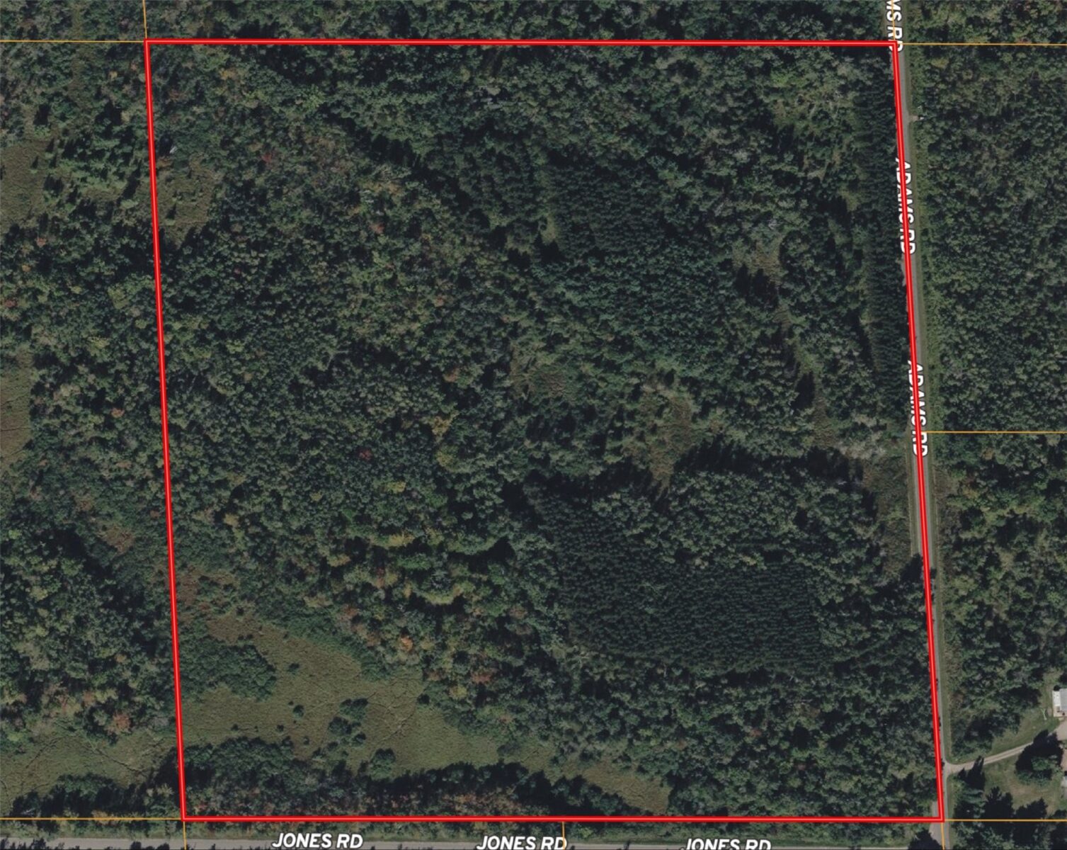 Land at 40 Acres Adams & Jones Road, Bruce, WI 54819 — photo 21