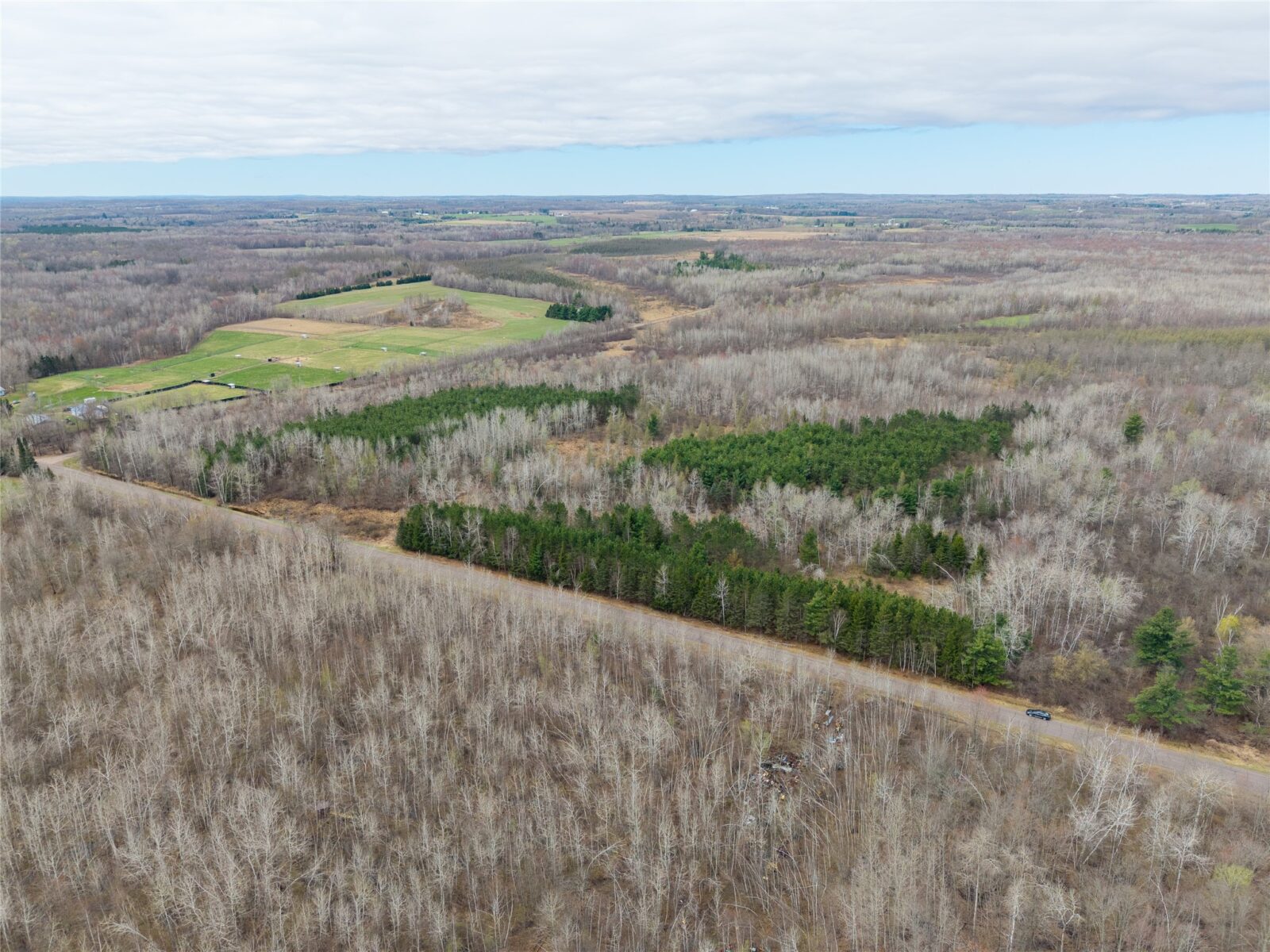 Land at 40 Acres Adams & Jones Road, Bruce, WI 54819 — photo 4