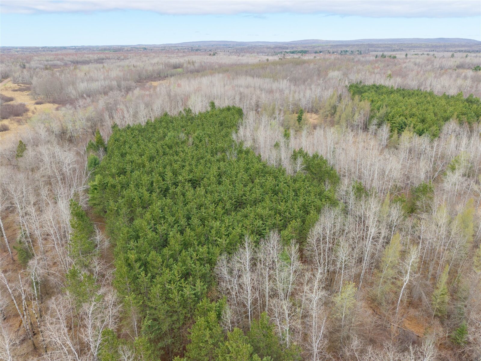 Land at 40 Acres Adams & Jones Road, Bruce, WI 54819 — photo 6