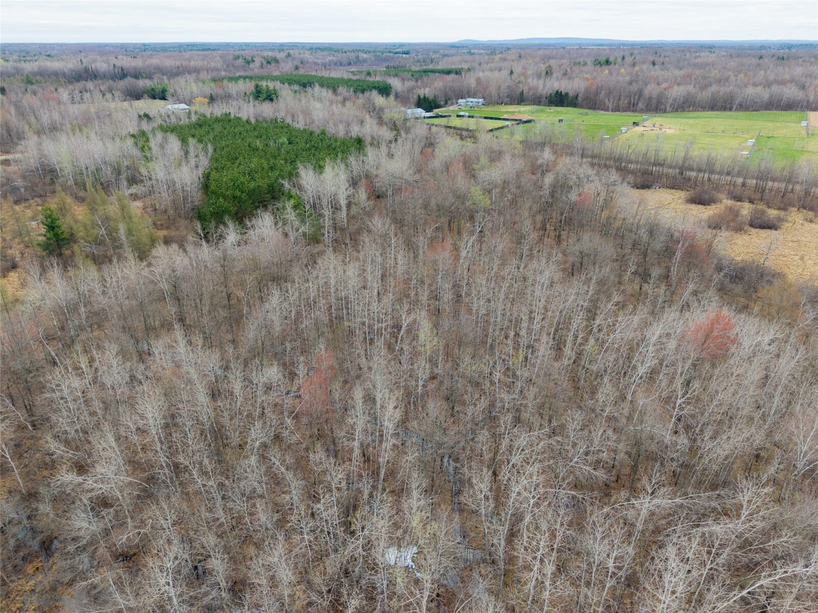 Land at 40 Acres Adams & Jones Road, Bruce, WI 54819 — photo 7
