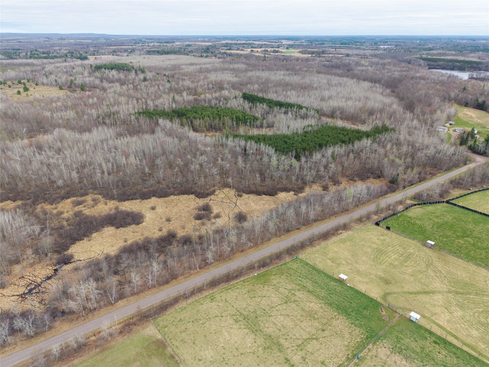 Land at 40 Acres Adams & Jones Road, Bruce, WI 54819 — photo 9