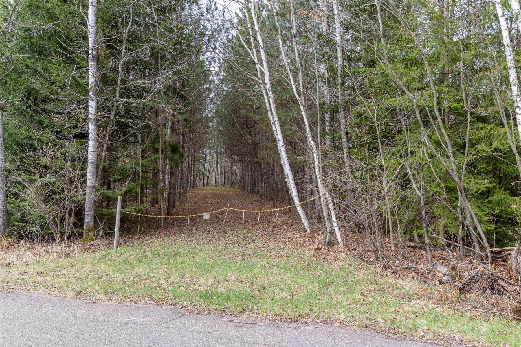 Land at 40 Acres Adams & Jones Road, Bruce, WI 54819 — photo 10
