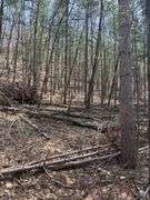 Land at 400 Court, Knapp, WI 54749 — photo 18