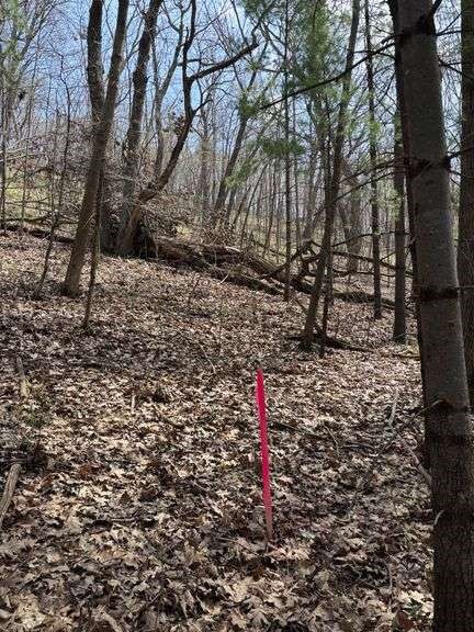 Land at 400 Court, Knapp, WI 54749 — photo 10