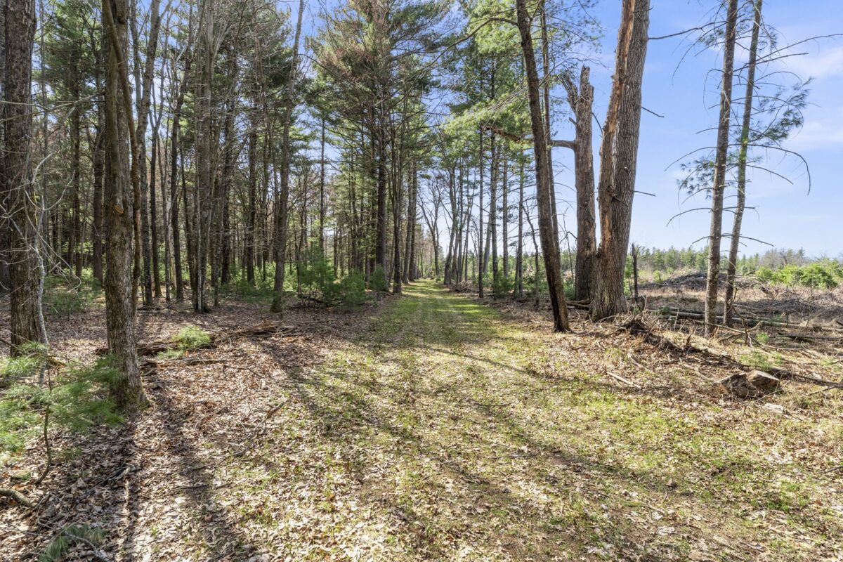 Land at 401 Russell Street, Grantsburg, WI 54840 — photo 10