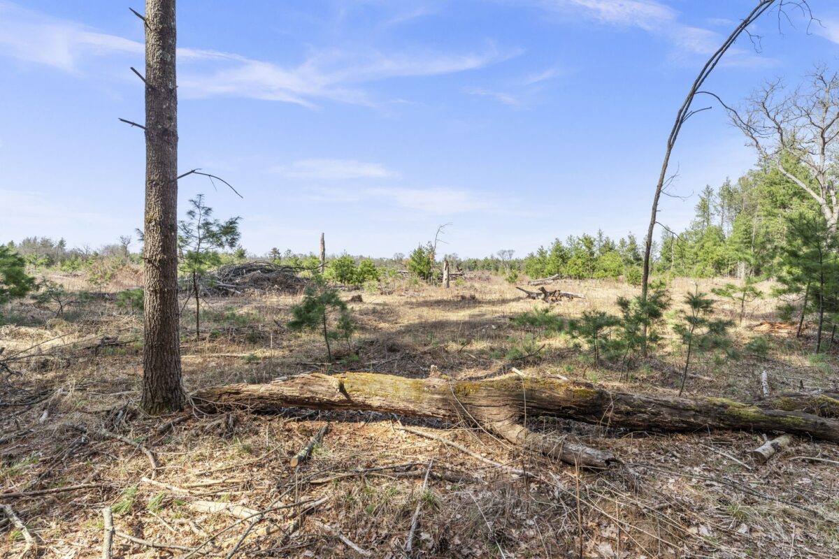 Land at 401 Russell Street, Grantsburg, WI 54840 — photo 11