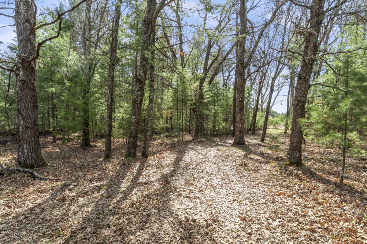 Land at 401 Russell Street, Grantsburg, WI 54840 — photo 3