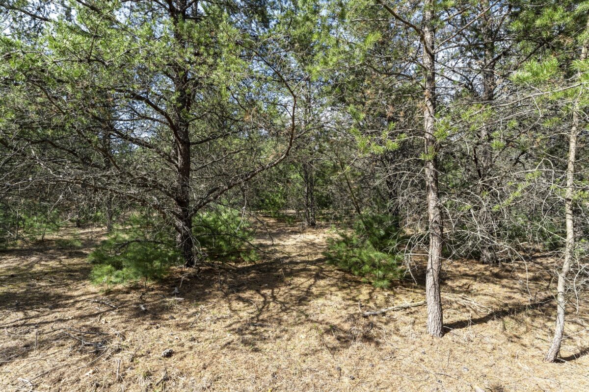 Land at 401 Russell Street, Grantsburg, WI 54840 — photo 7