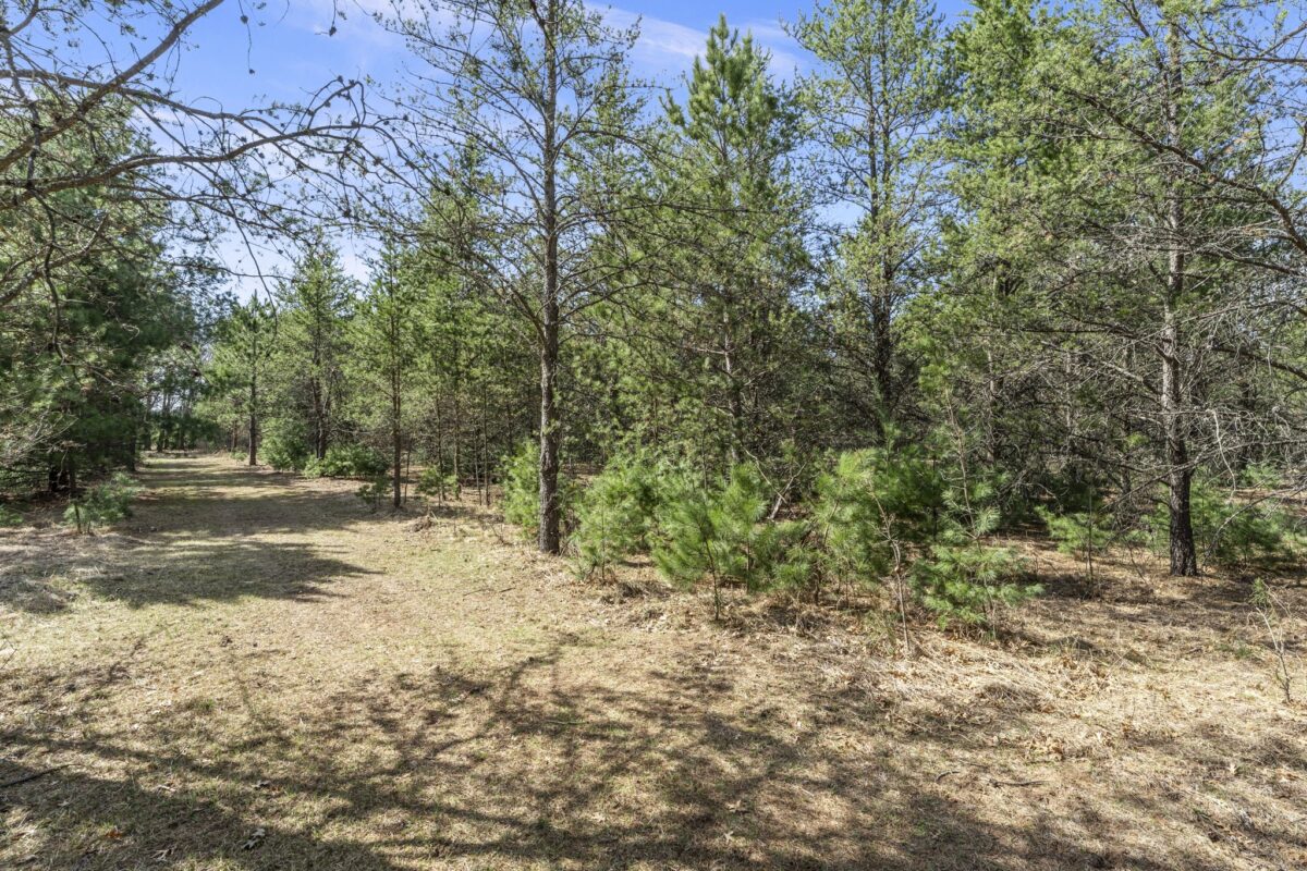 Land at 401 Russell Street, Grantsburg, WI 54840 — photo 8