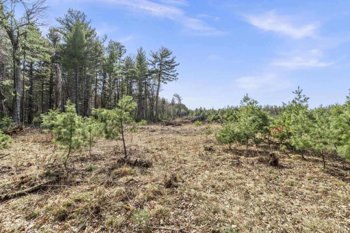 Land at 401 Russell Street, Grantsburg, WI 54840 — photo 9