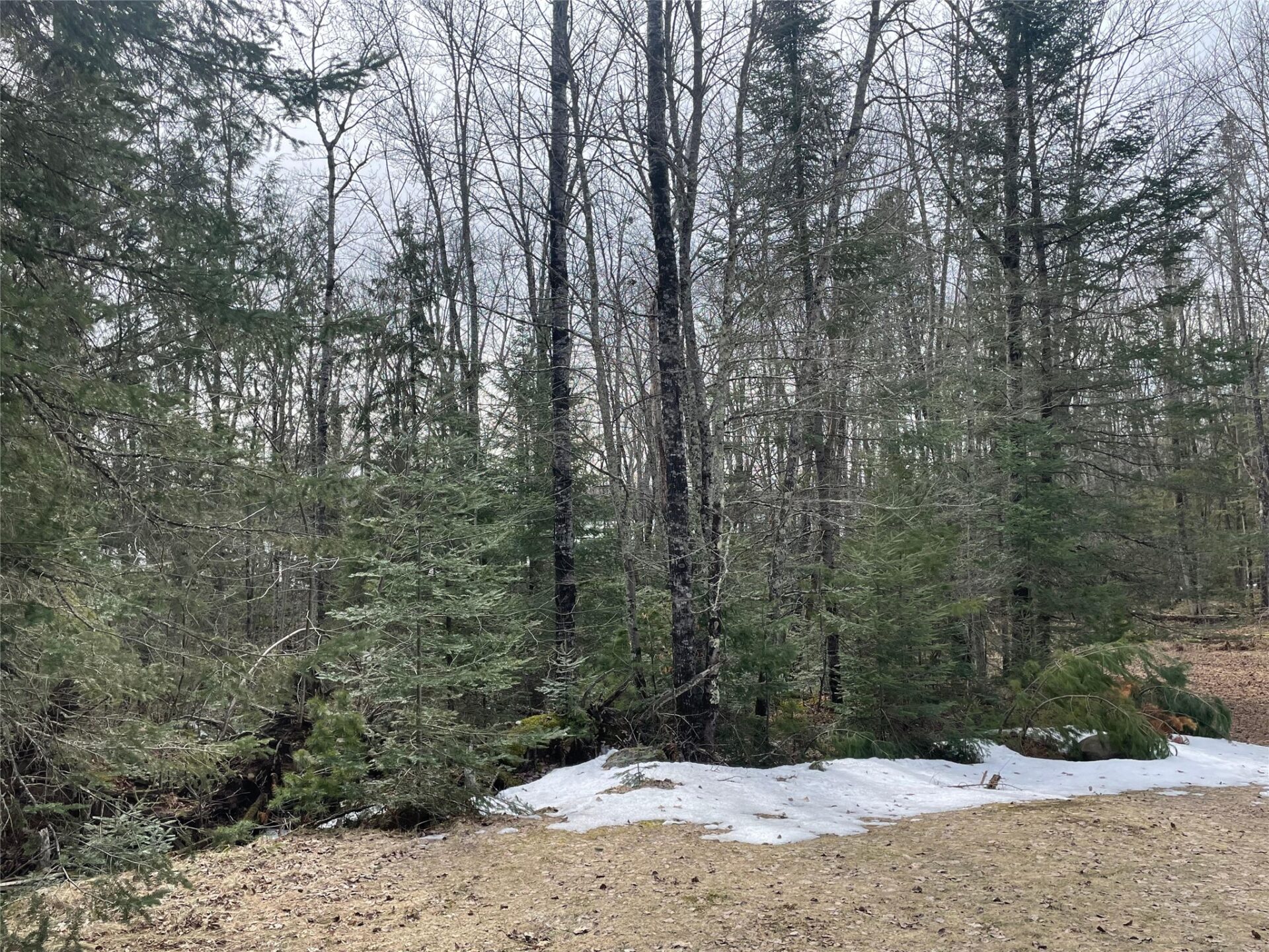 Residential at 4091 North Clover Road, Winter, WI 54896 — photo 7