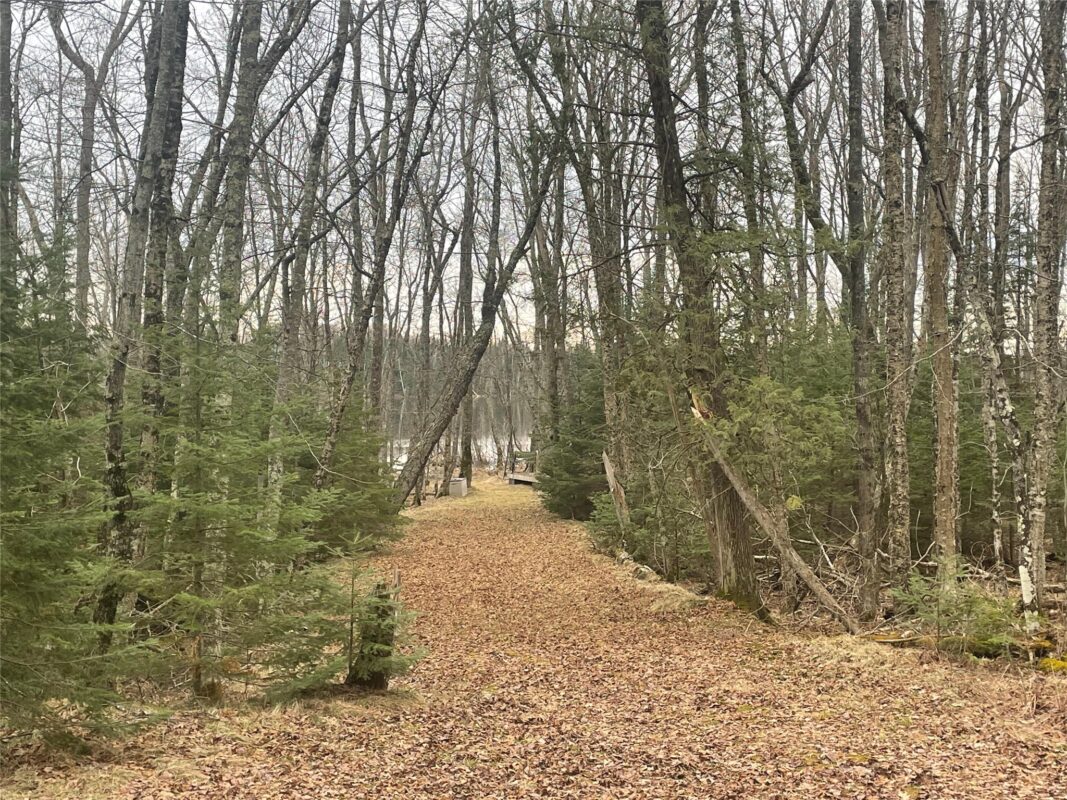 Residential at 4091 North Clover Road, Winter, WI 54896 — photo 10