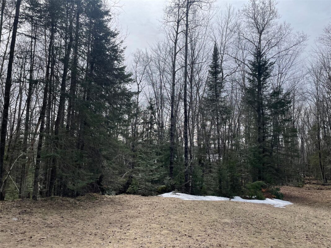 4091 W North Clover Road, Winter, WI — photo 31