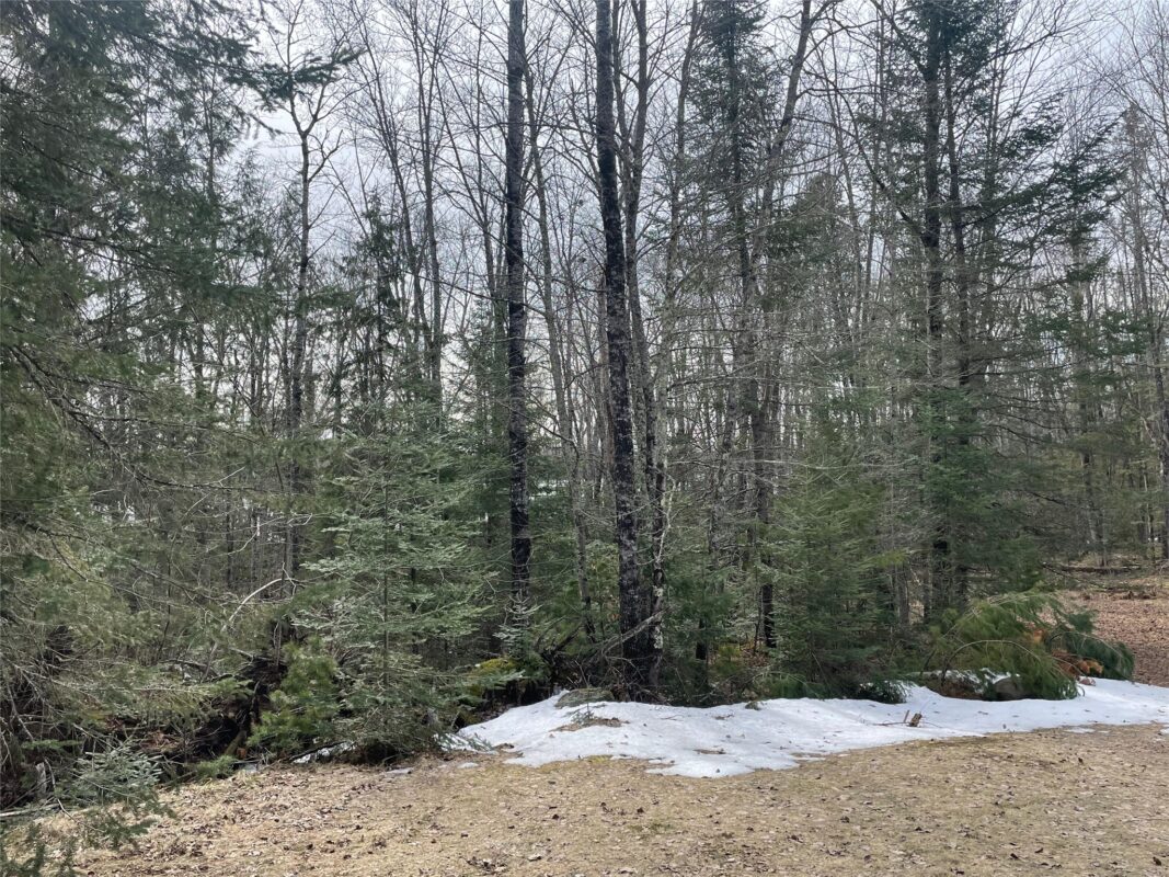 4091 W North Clover Road, Winter, WI — photo 32