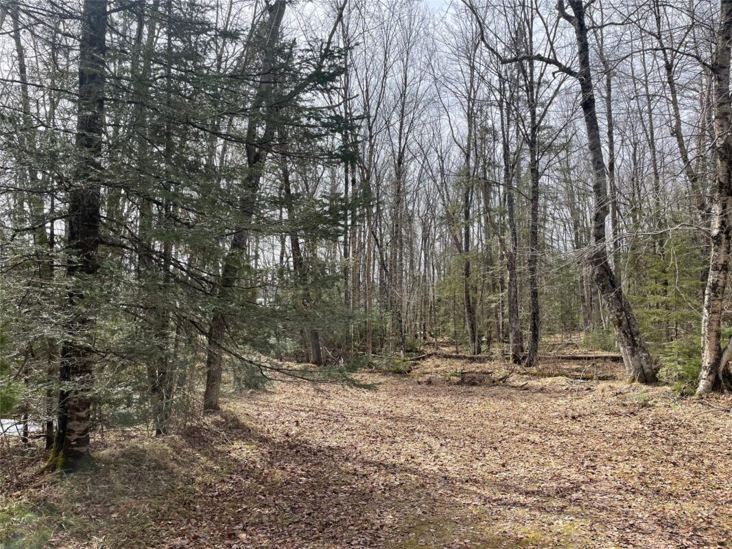 4091 W North Clover Road, Winter, WI — photo 8