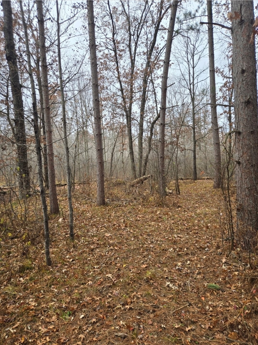 Land at 4316 Skylight Terrace, Webster, WI 54893 — photo 24