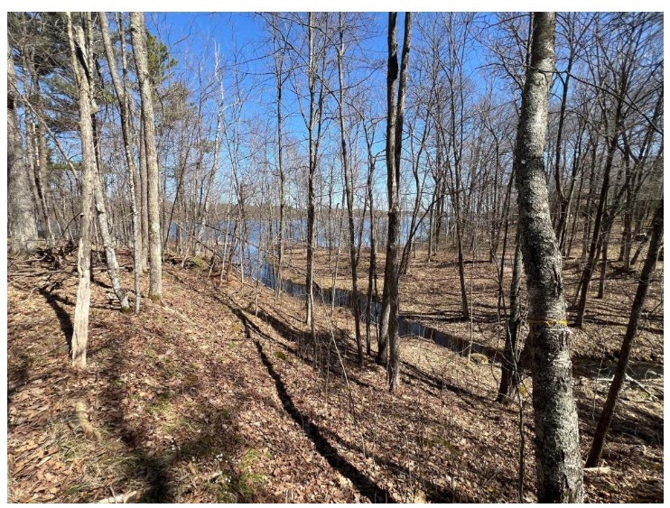 43TBD Red Oak Lane, Stone Lake, WI — photo 3