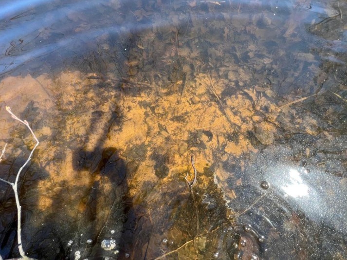 43TBD Red Oak Lane, Stone Lake, WI — photo 8