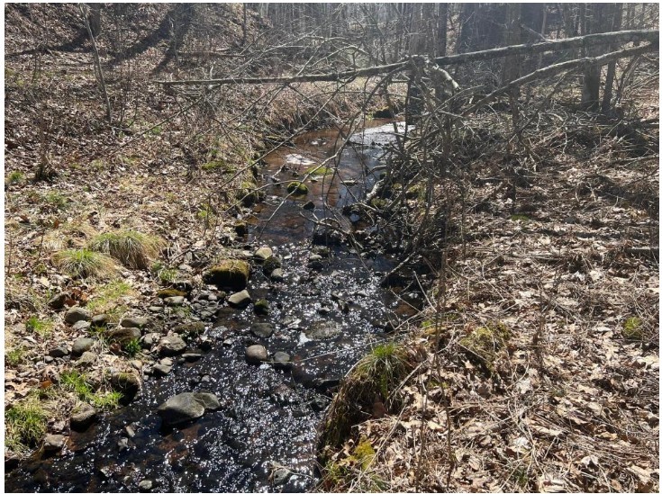 43TBD Red Oak Lane, Stone Lake, WI — photo 9