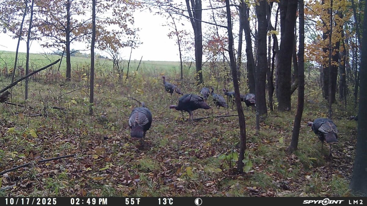 4505 State Highway 27, Cadott, WI