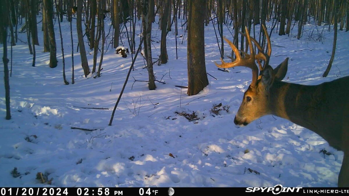 4505 State Highway 27, Cadott, WI