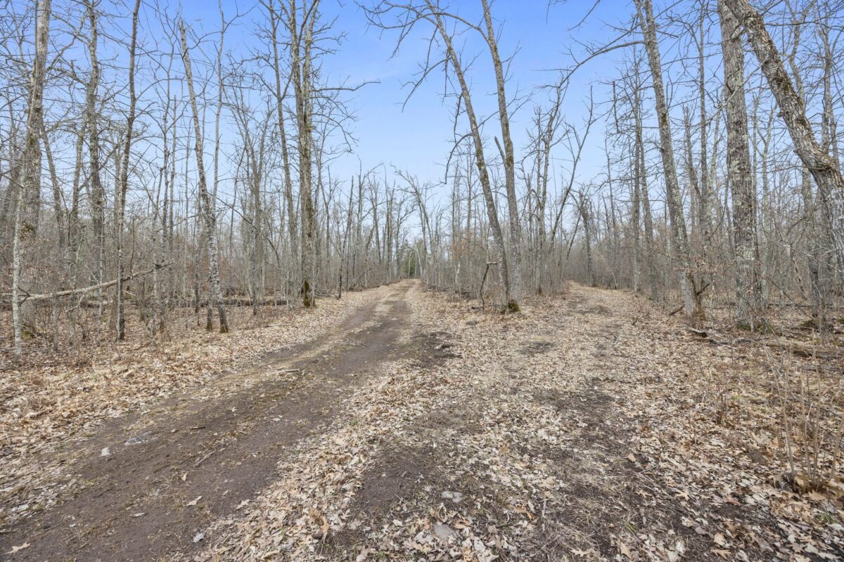 Residential at 4996 Springbrook Trail, Danbury, WI 54830 — photo 8