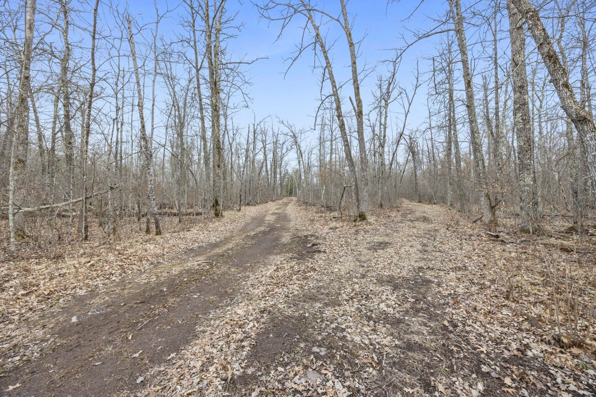 Residential at 4996 Springbrook Trail, Danbury, WI 54830 — photo 8