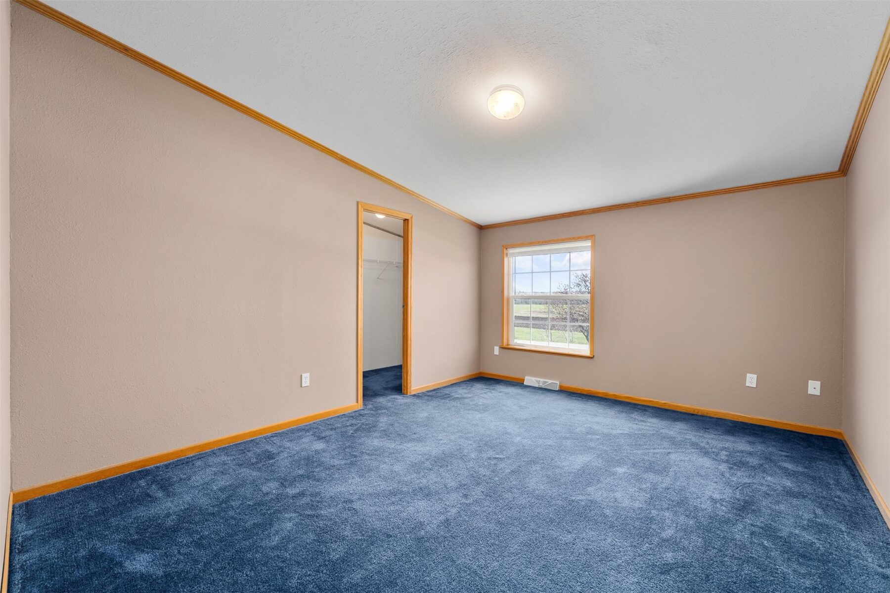 506 Mill Road, Blair, WI — photo 27