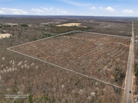 51.54 Acres Along County Road CC, Couderay, WI