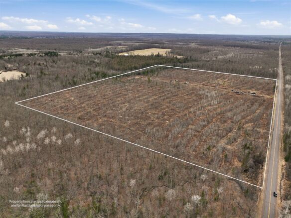 51.54 Acres Along County Road CC, Couderay, WI