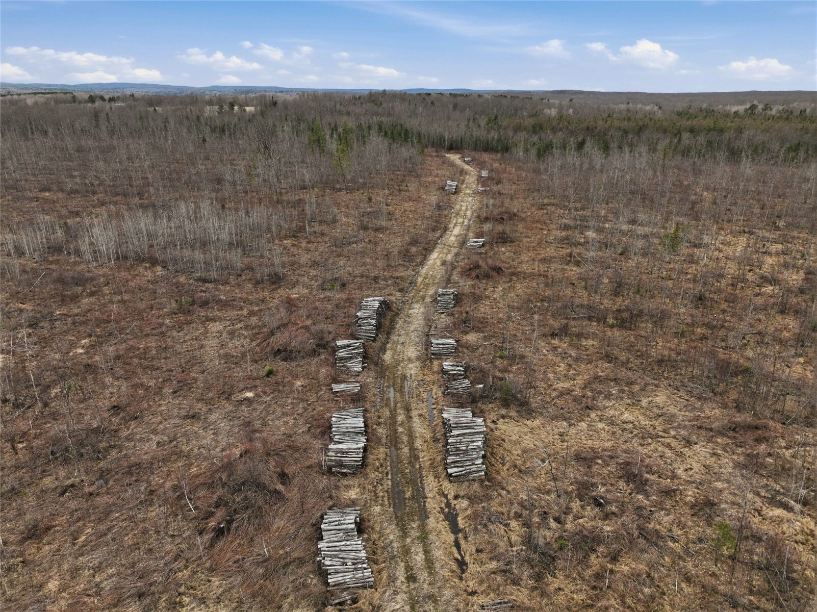 51.54 Acres Along County Road CC, Couderay, WI — photo 10