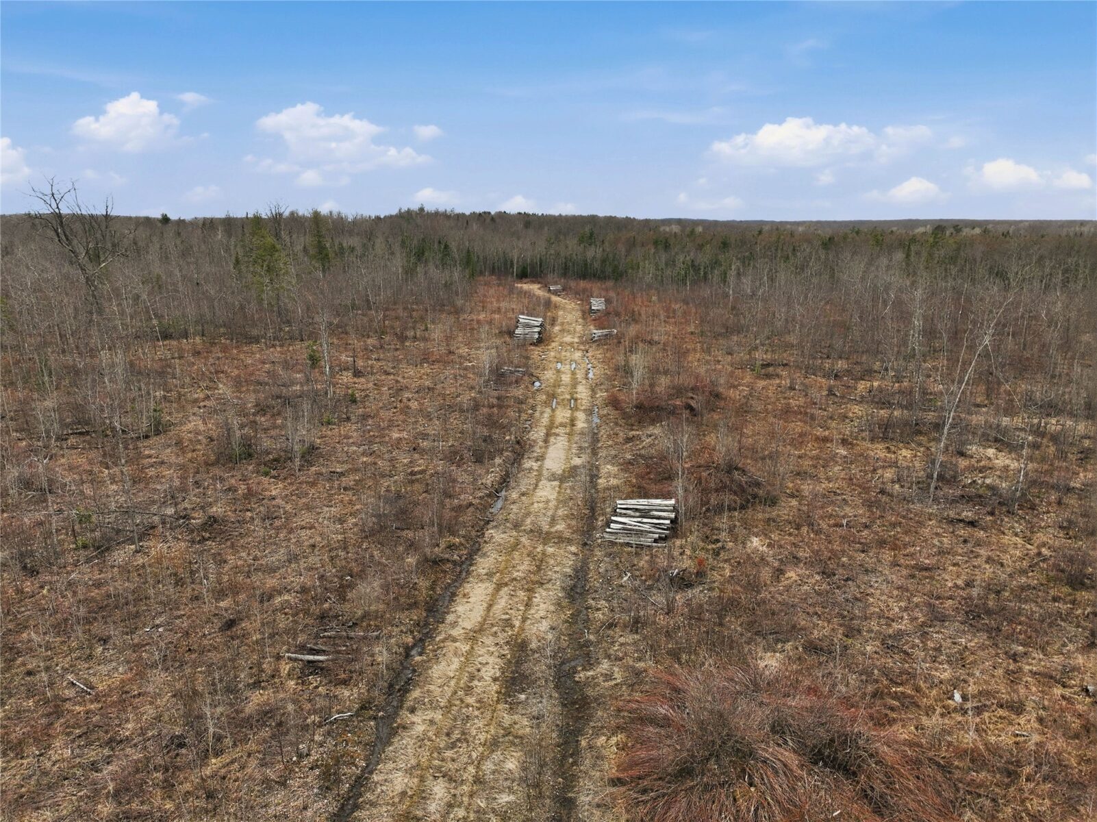 51.54 Acres Along County Road CC, Couderay, WI — photo 11