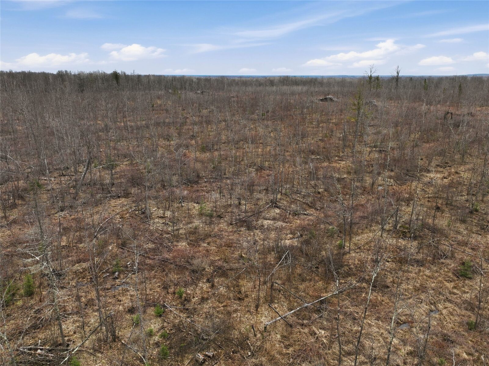 51.54 Acres Along County Road CC, Couderay, WI — photo 14