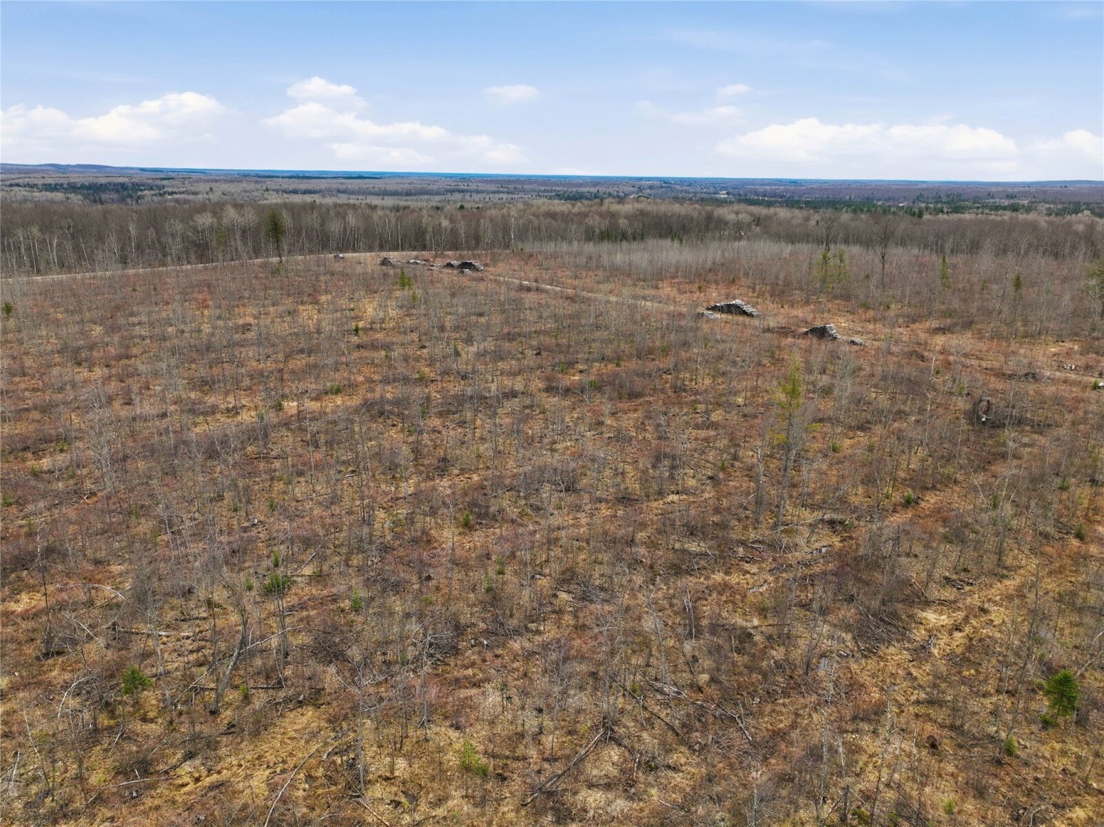 51.54 Acres Along County Road CC, Couderay, WI — photo 15