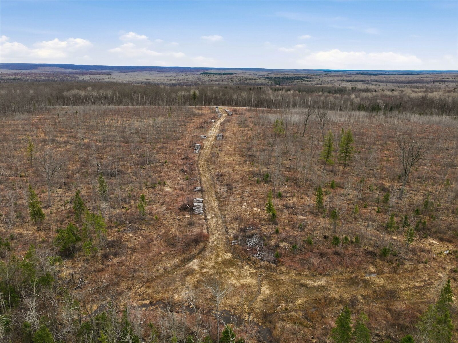 51.54 Acres Along County Road CC, Couderay, WI — photo 16