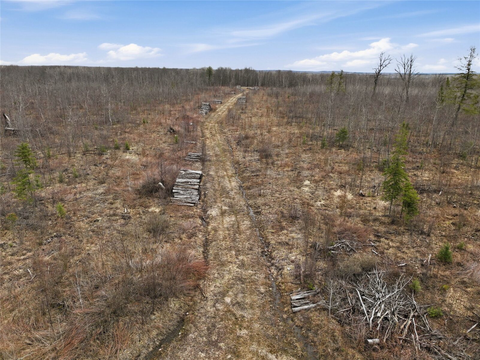 51.54 Acres Along County Road CC, Couderay, WI — photo 17