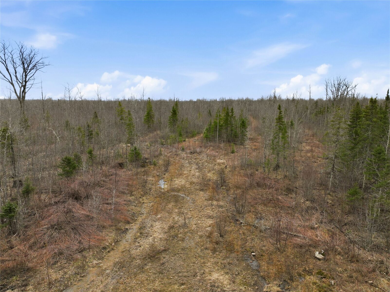 51.54 Acres Along County Road CC, Couderay, WI — photo 18