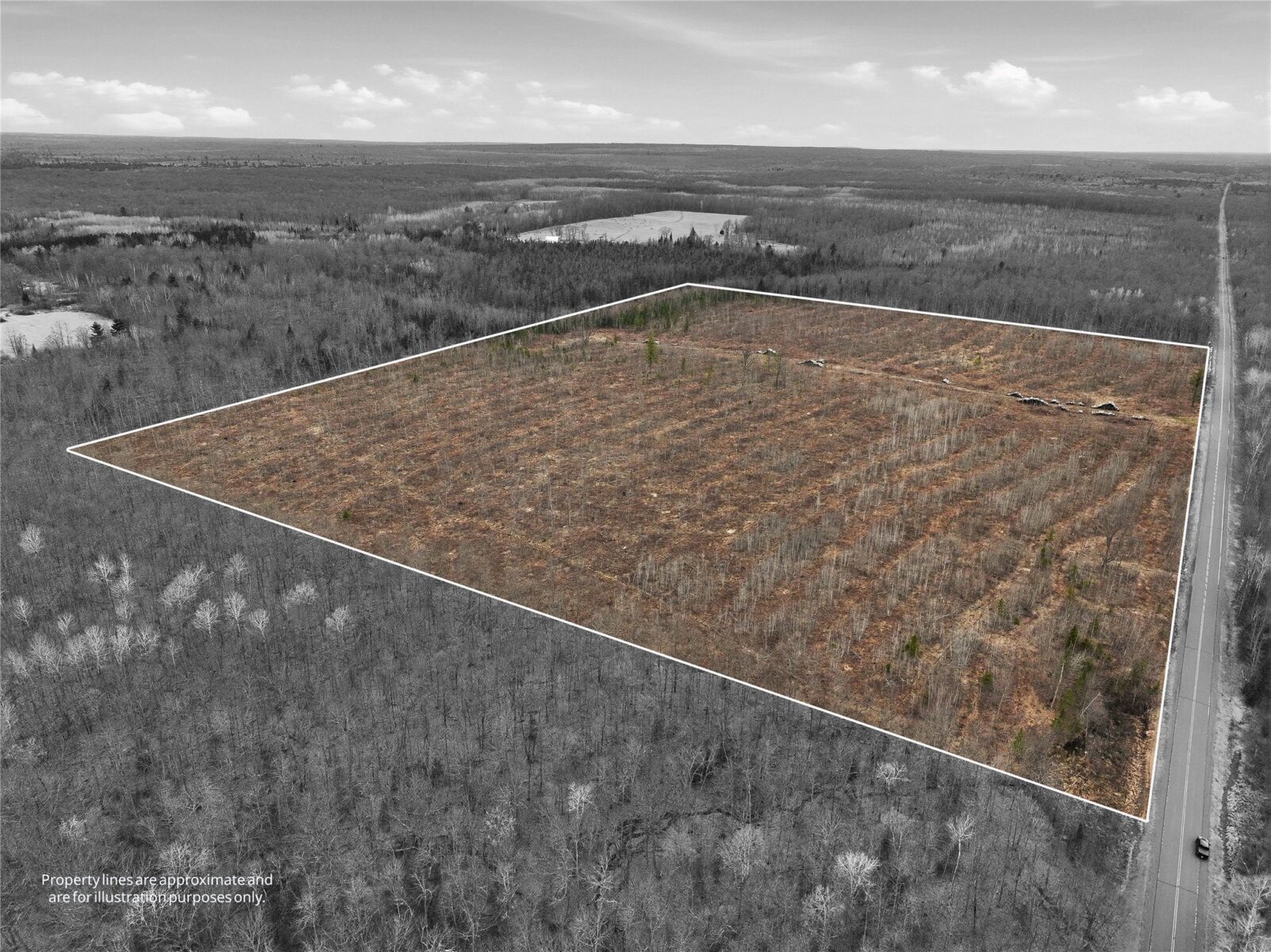 51.54 Acres Along County Road CC, Couderay, WI — photo 19