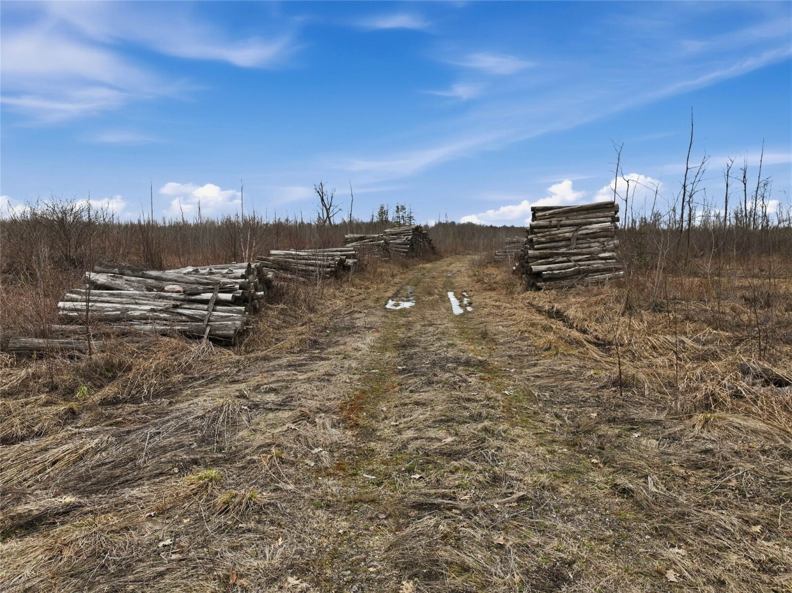 51.54 Acres Along County Road CC, Couderay, WI — photo 2