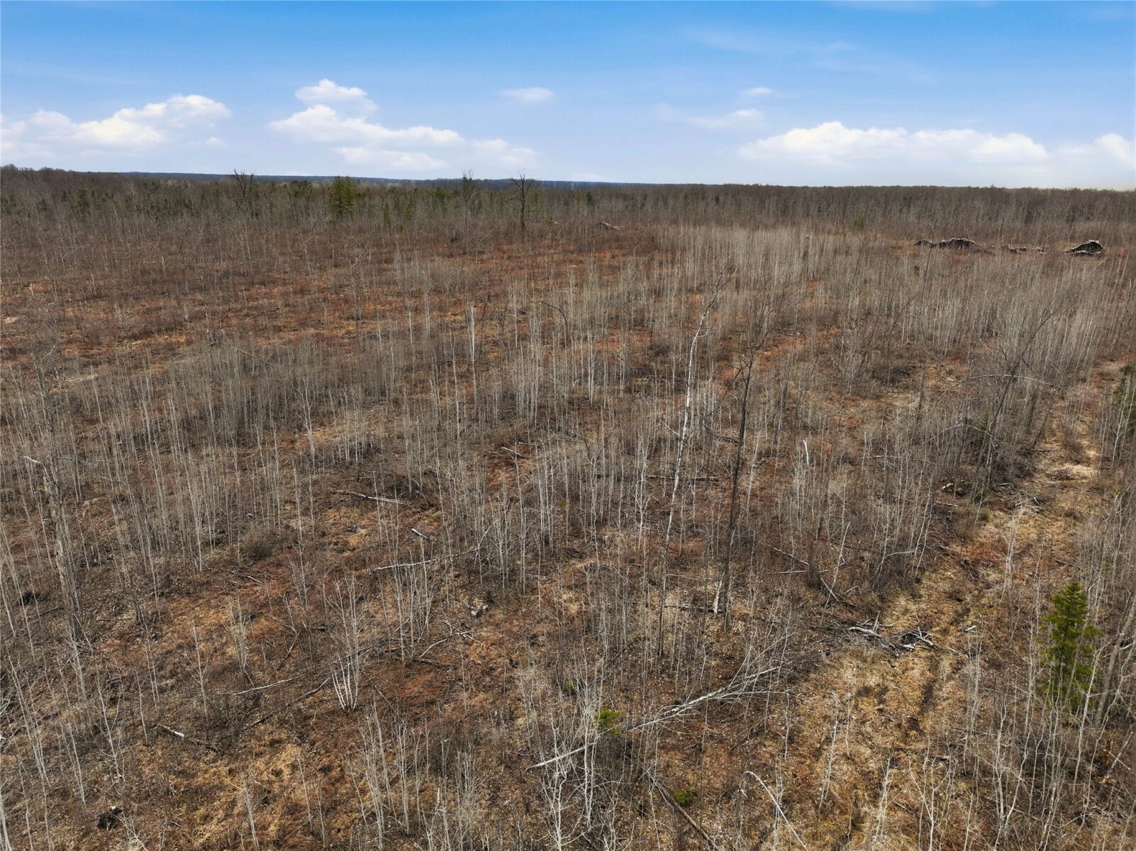 51.54 Acres Along County Road CC, Couderay, WI — photo 9