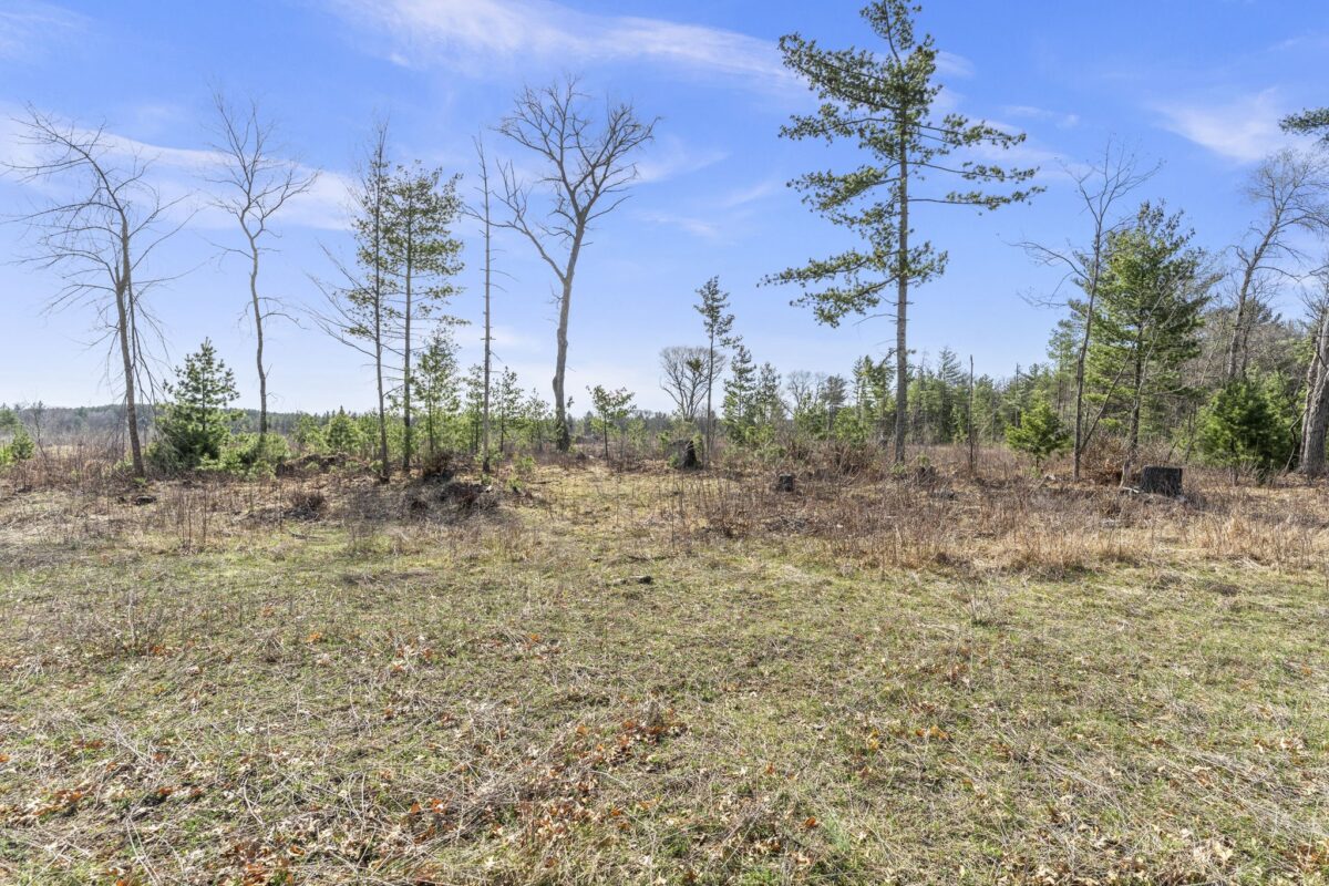 Land at 563 Russell Street, Grantsburg, WI 54840 — photo 3