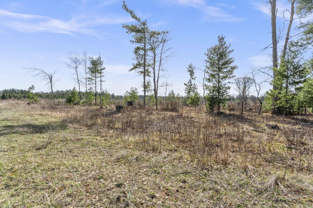 Land at 563 Russell Street, Grantsburg, WI 54840 — photo 4